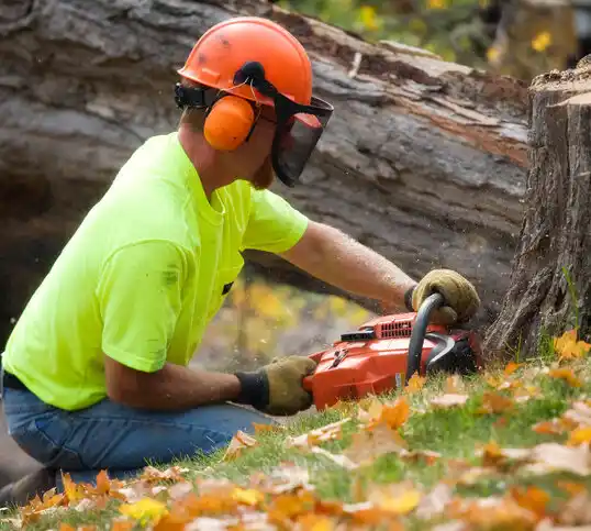 tree services Otterville